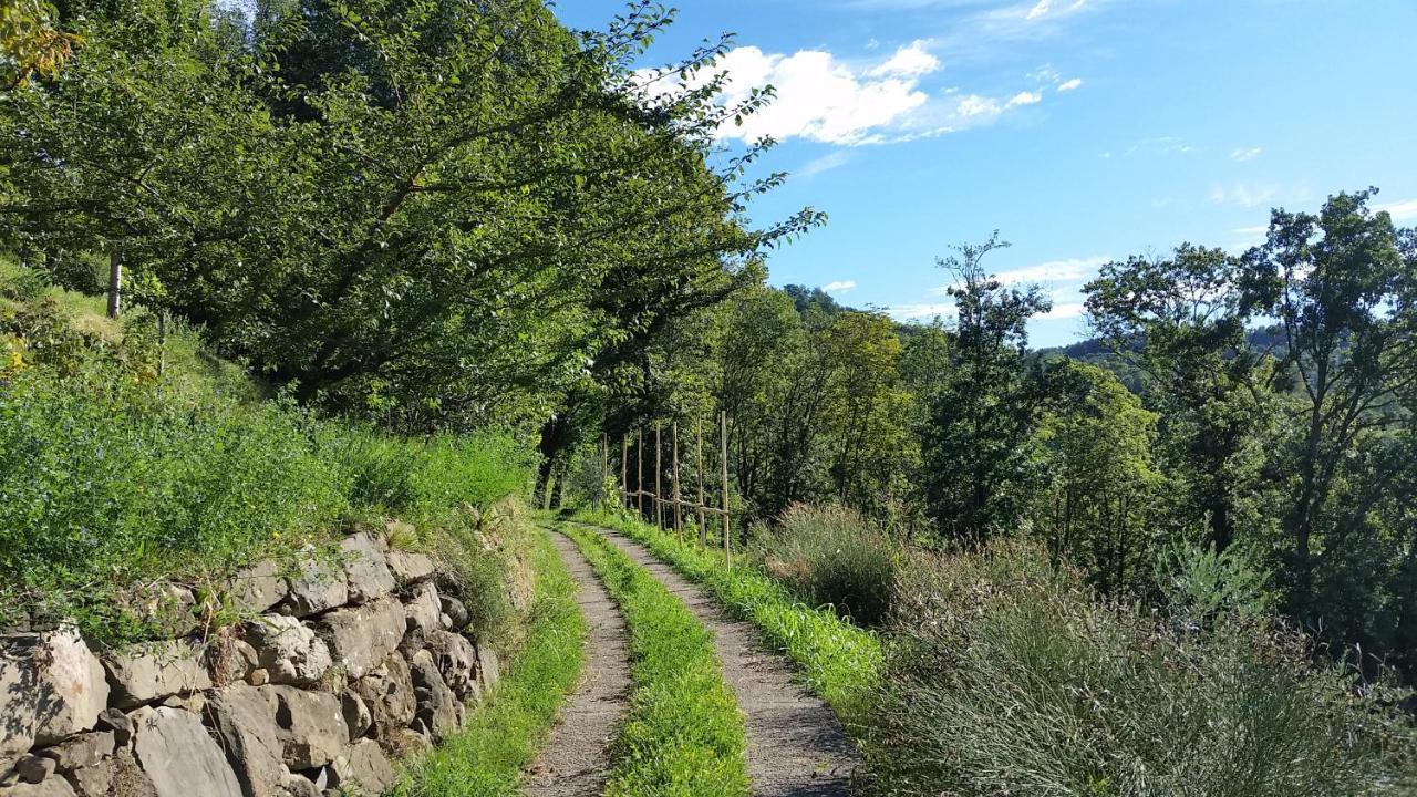 Agriturismo San Genesio Rovagnate المظهر الخارجي الصورة